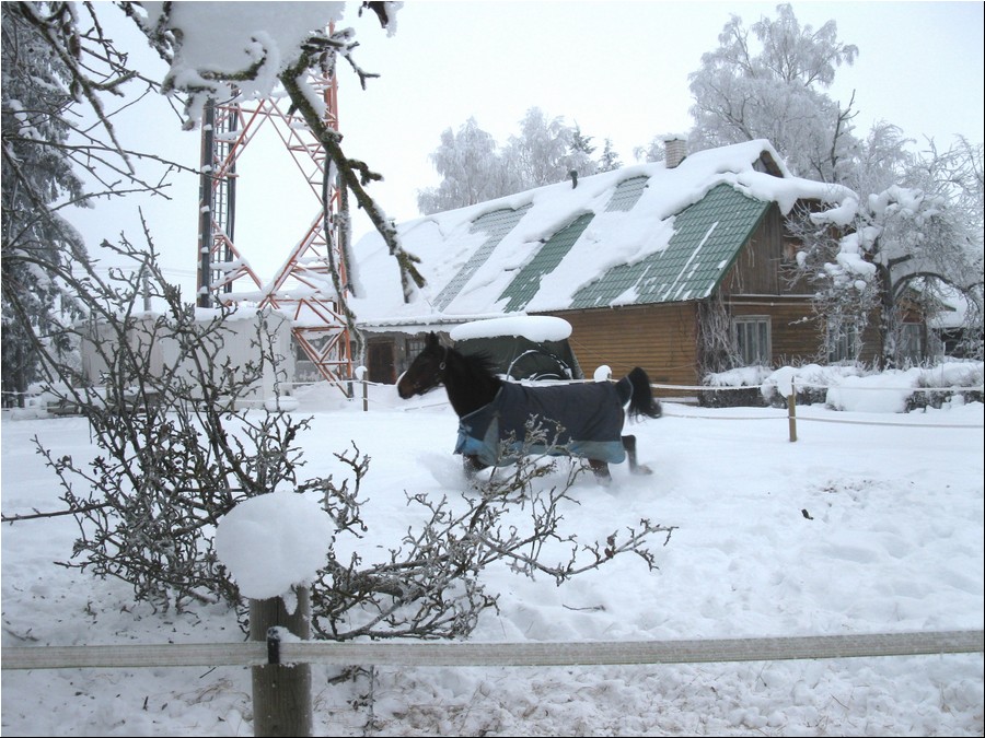 TALV_1794.jpg