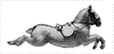 logo_capriole.gif,logo_capriole.gif,logo_capriole.gif,logo_capriole.gif