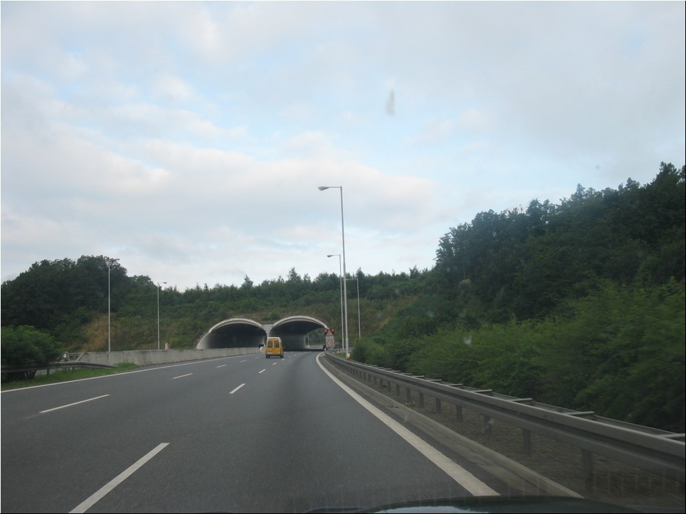 804108.jpg