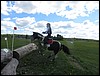 170504010.JPG