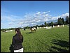 170708094.JPG