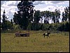 170722002.jpg