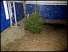 171220002.JPG