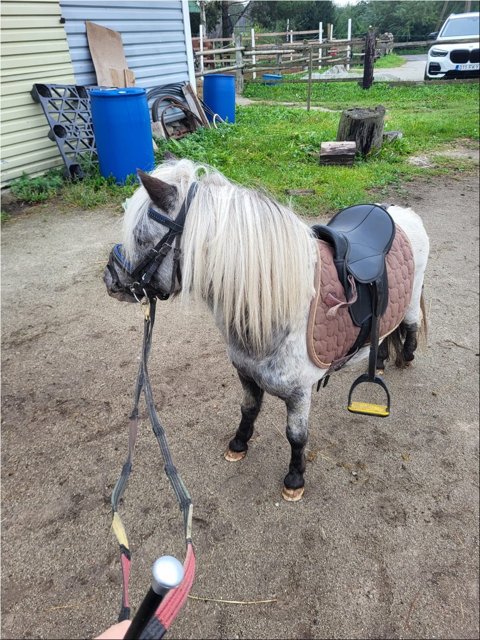 WhatsAppi pilt 2024-09-14 kell 12.23.17_e344d8a9.jpg