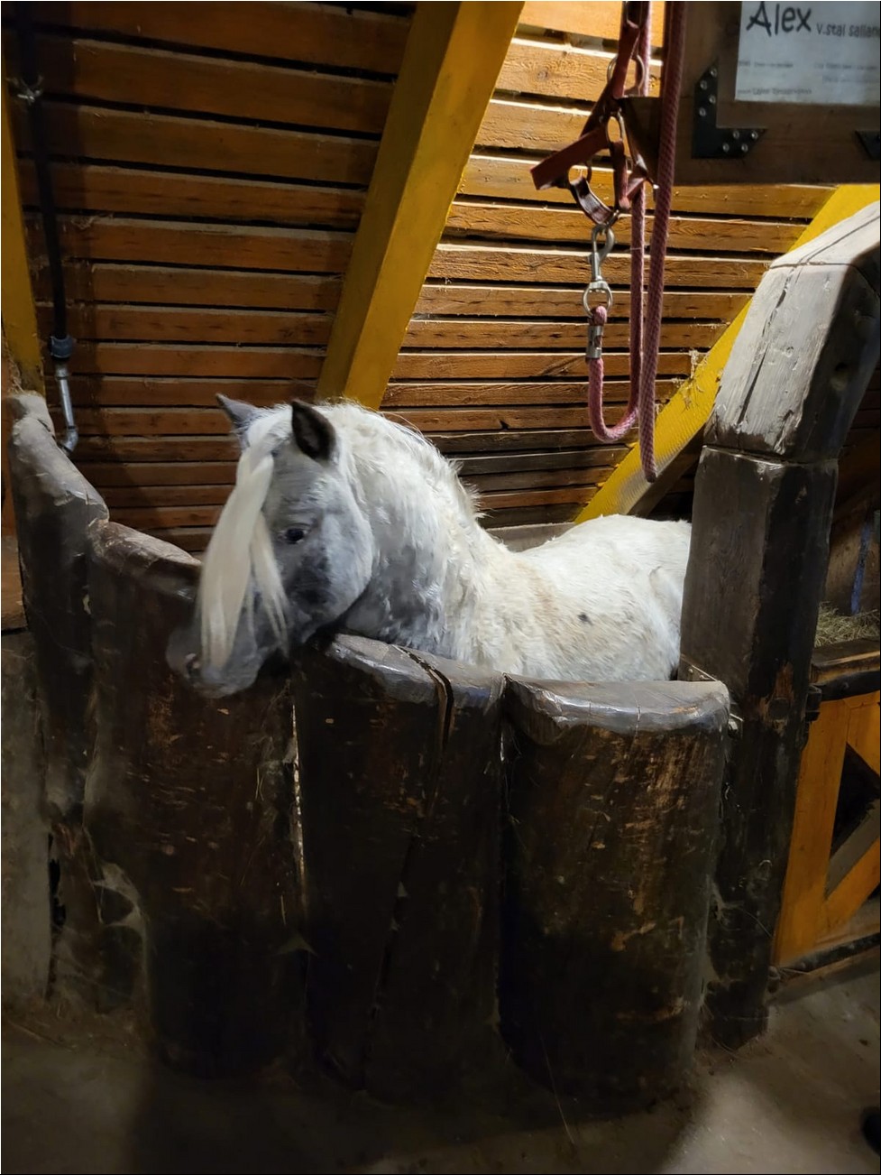 WhatsAppi pilt 2024-09-26 kell 19.22.07_998cd0ae.jpg