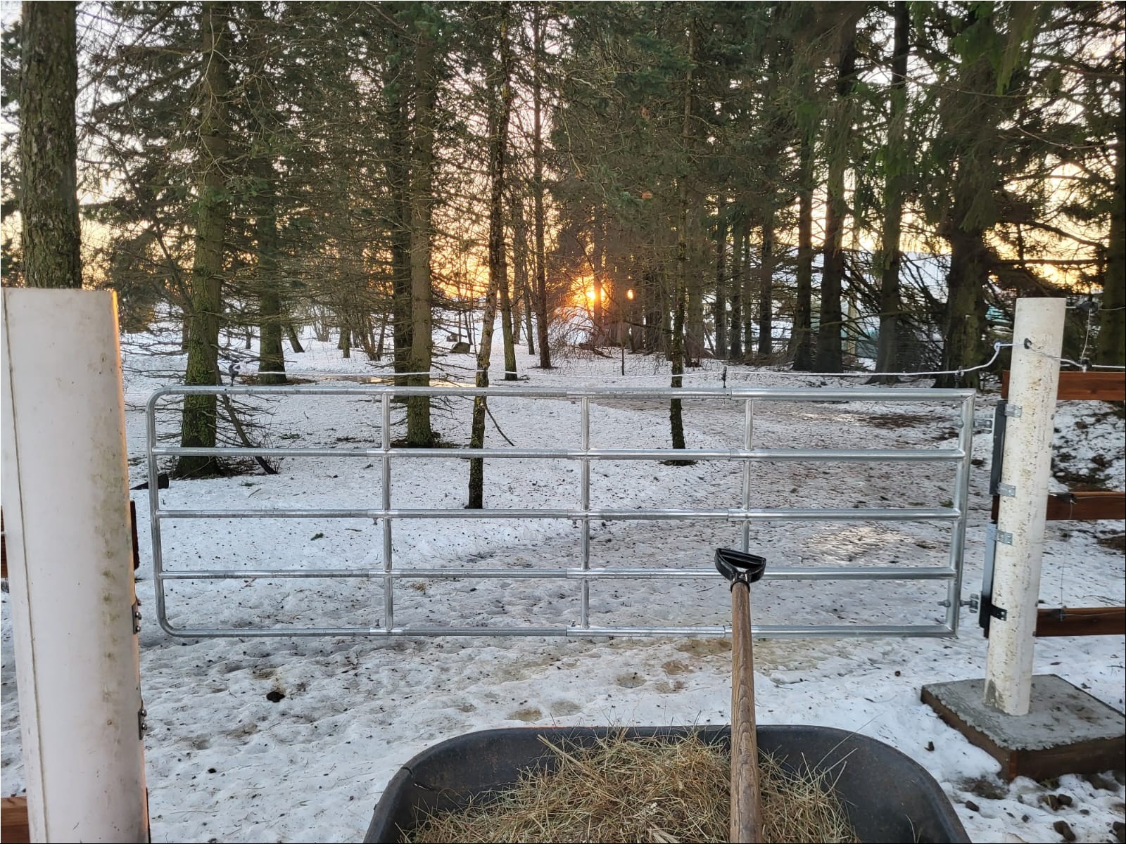 WhatsAppi pilt 2024-09-26 kell 19.31.48_8c41a65d.jpg