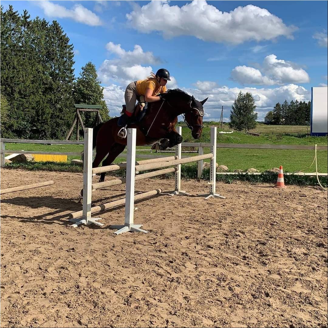 WhatsAppi pilt 2024-09-26 kell 19.31.49_cffafb6e.jpg