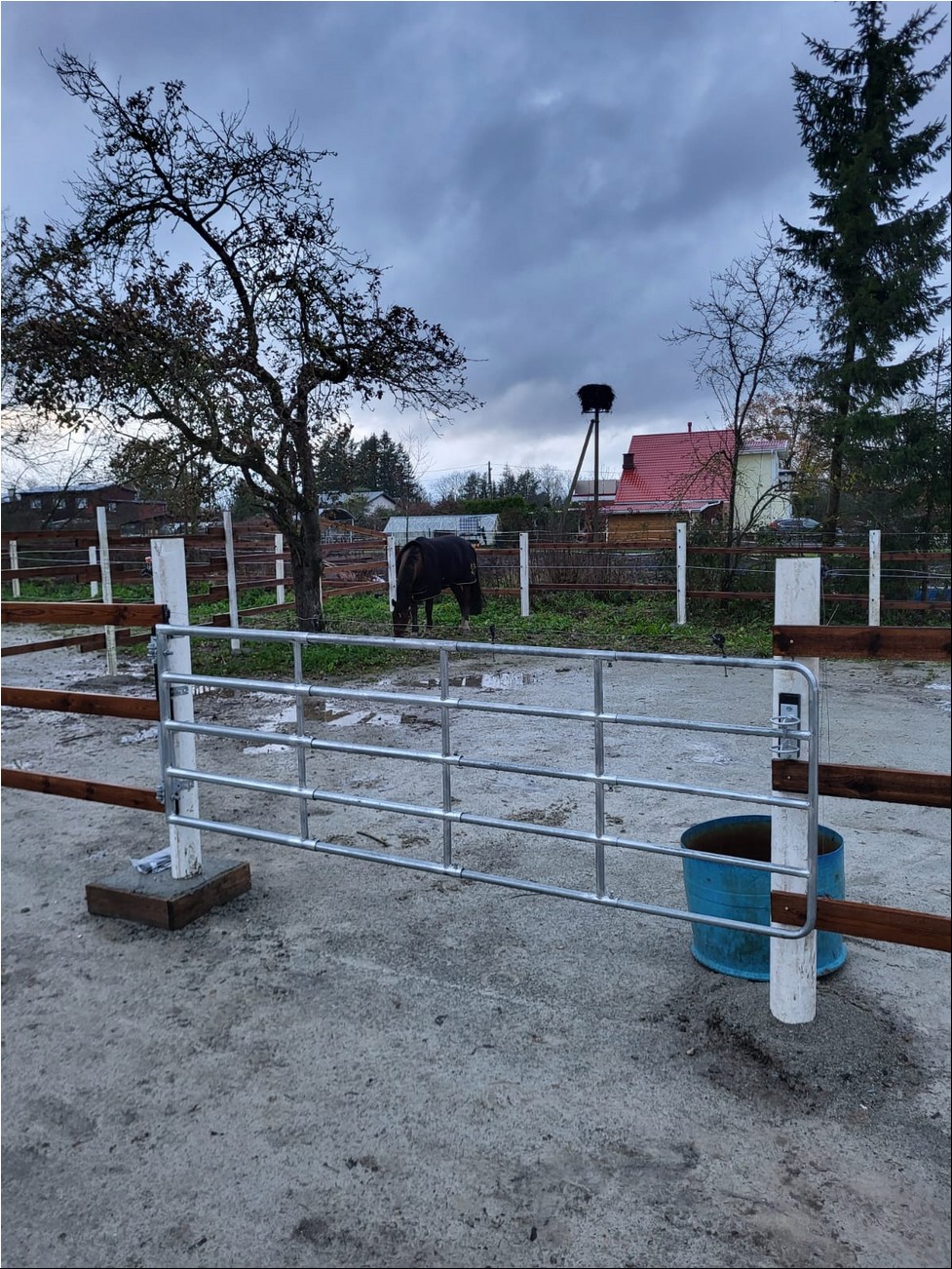 WhatsAppi pilt 2024-09-26 kell 19.31.49_ff38b835.jpg