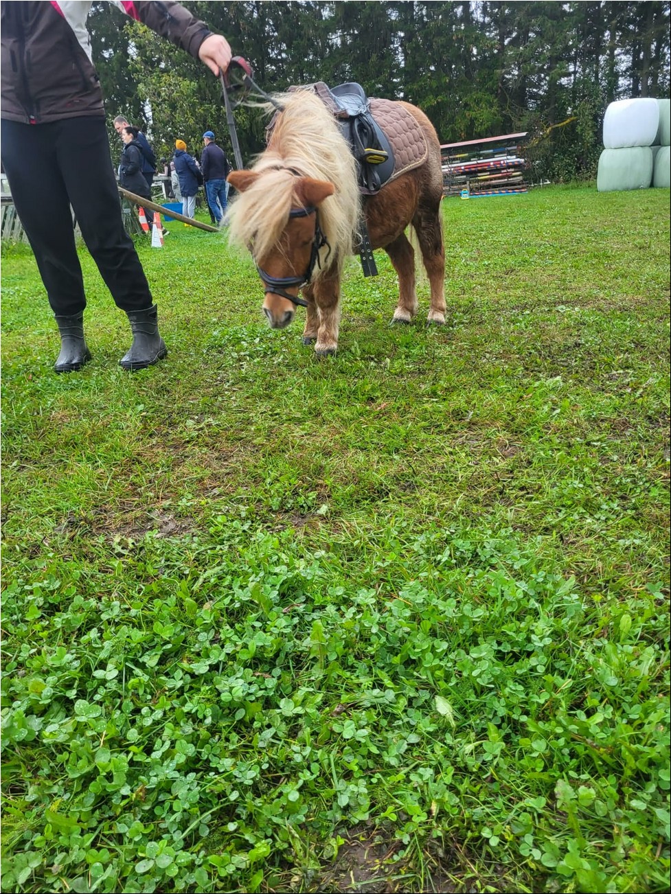 WhatsAppi pilt 2024-09-26 kell 19.31.51_d5158cc5.jpg