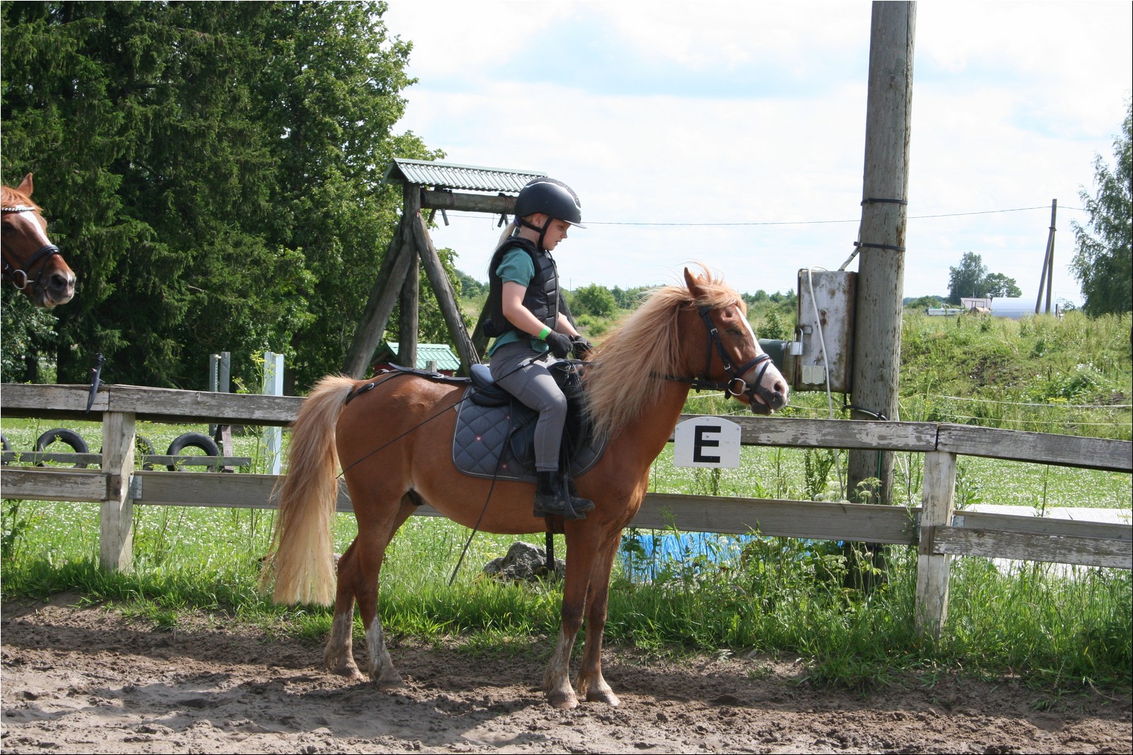 2025_07_laager (16).JPG