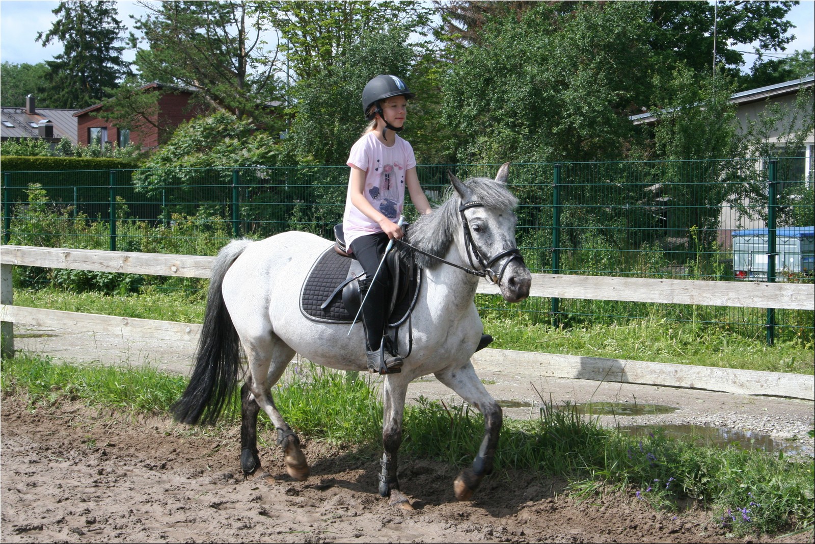 2025_07_laager (18).JPG