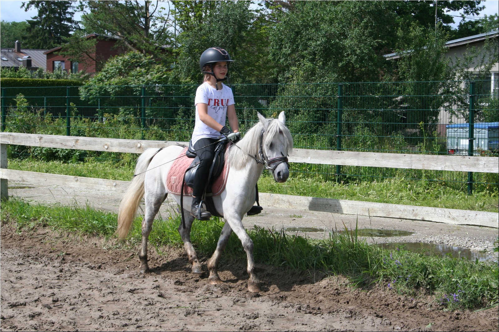 2025_07_laager (19).JPG