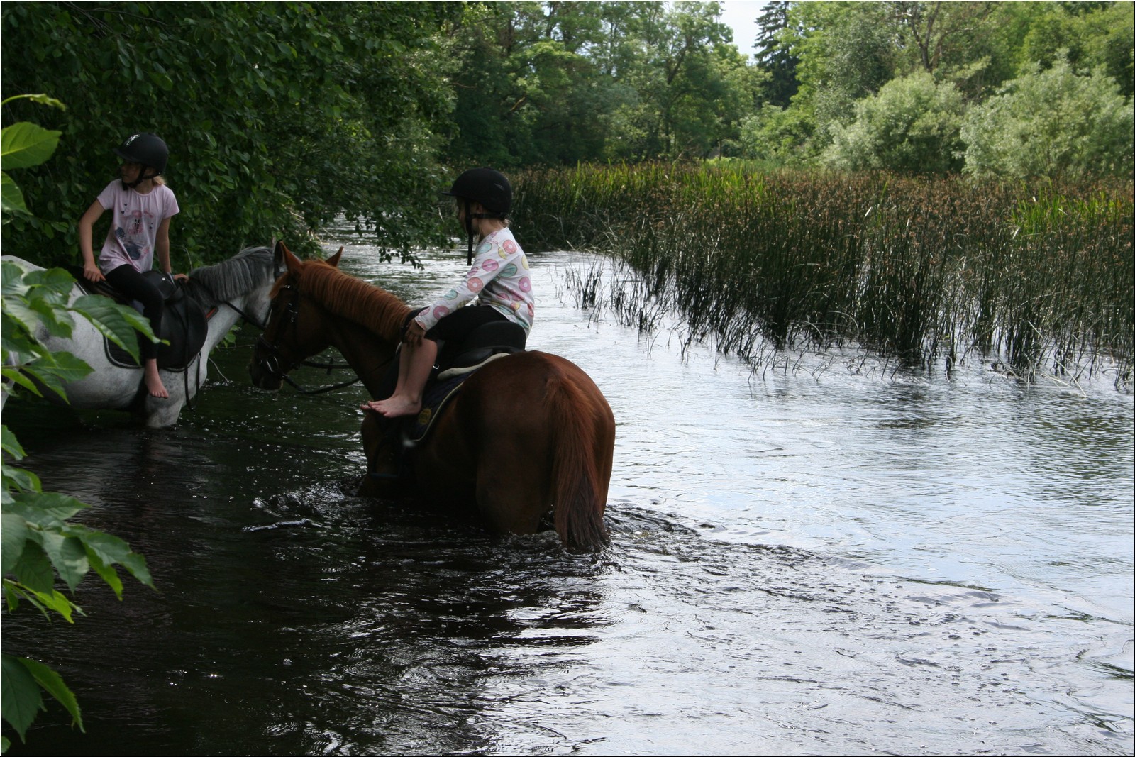 2025_07_laager (20).JPG