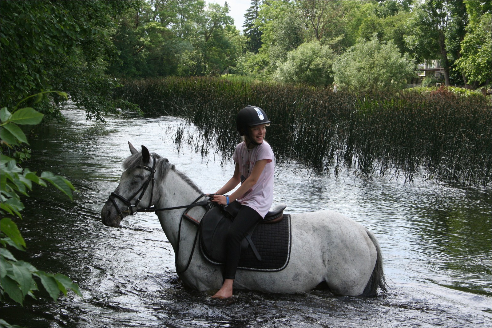 2025_07_laager (21).JPG