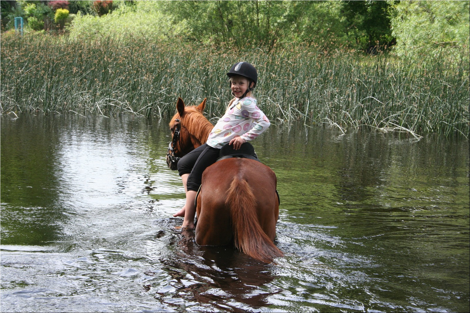 2025_07_laager (22).JPG