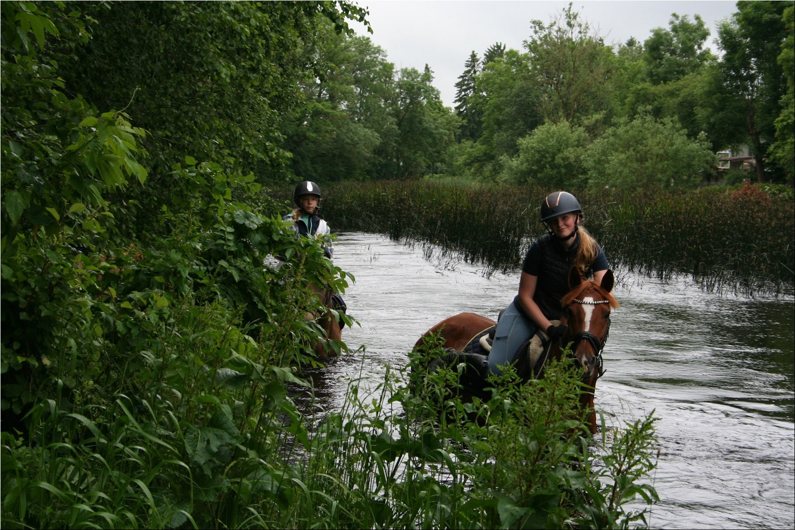 2025_07_laager (27).JPG