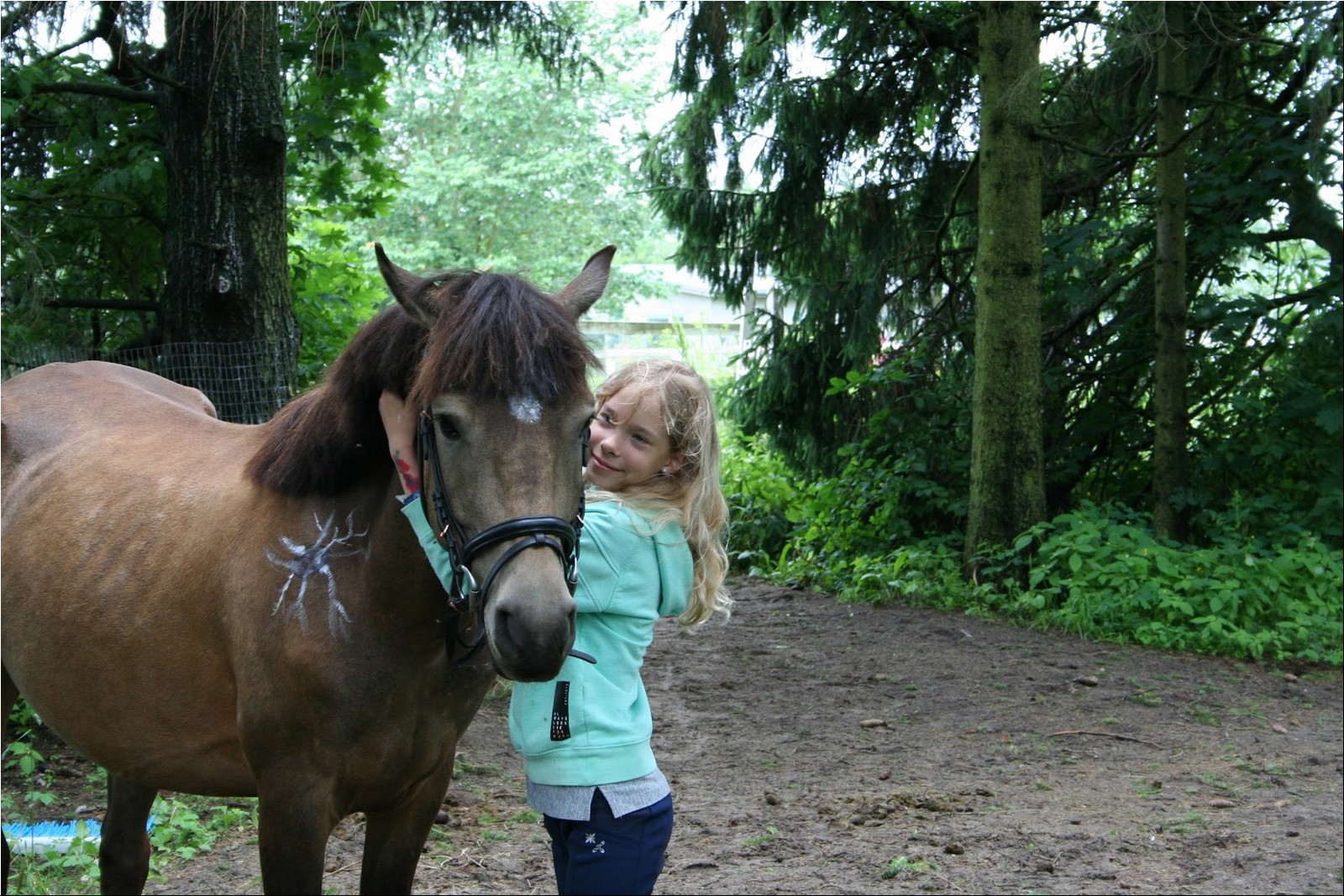 2025_07_laager (32).jpg