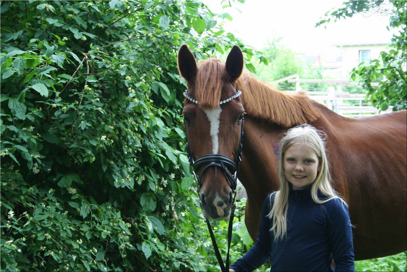 2025_07_laager (33).JPG