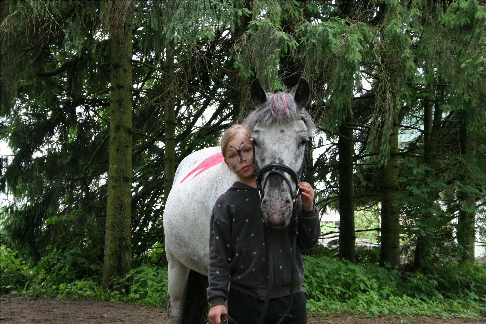 2025_07_laager (34).JPG