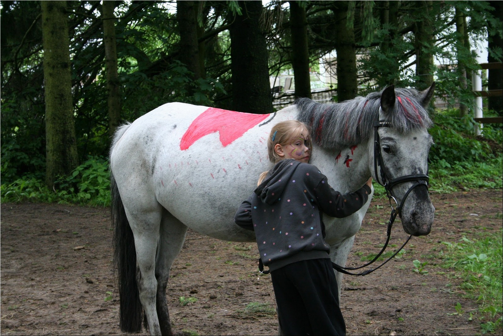 2025_07_laager (35).JPG