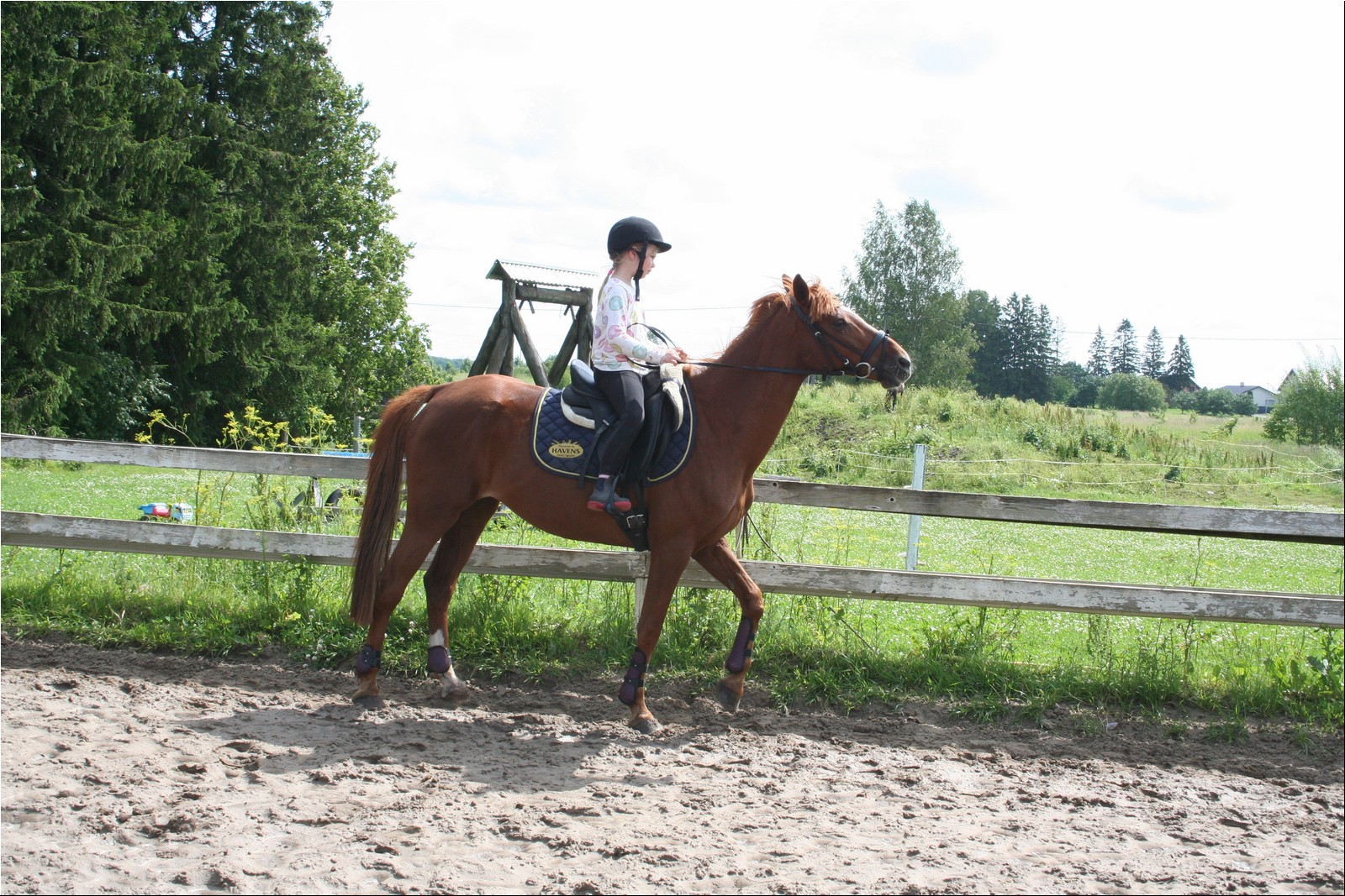 2025_07_laager (5).JPG