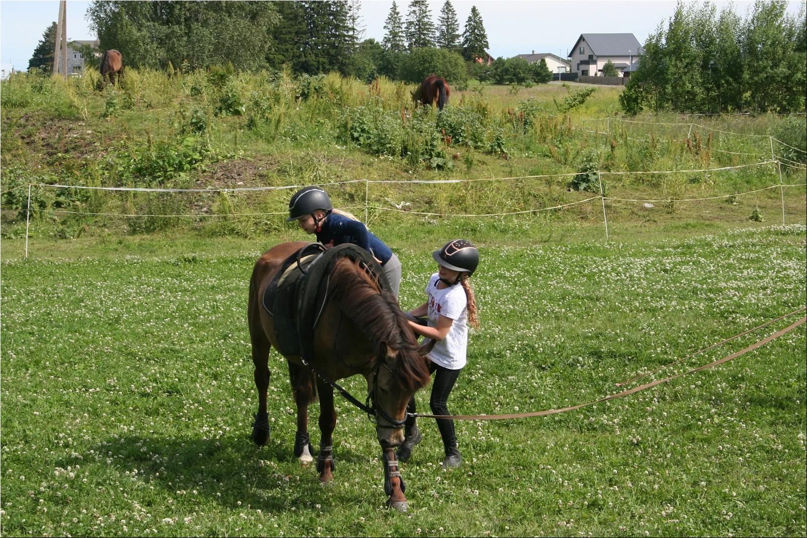 2025_07_laager (57).JPG