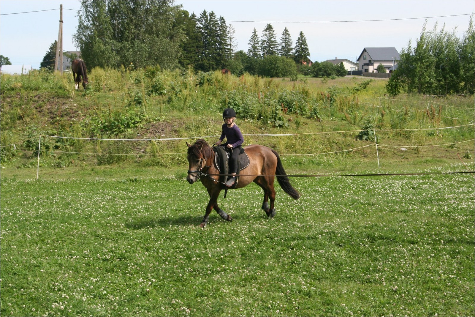 2025_07_laager (60).JPG