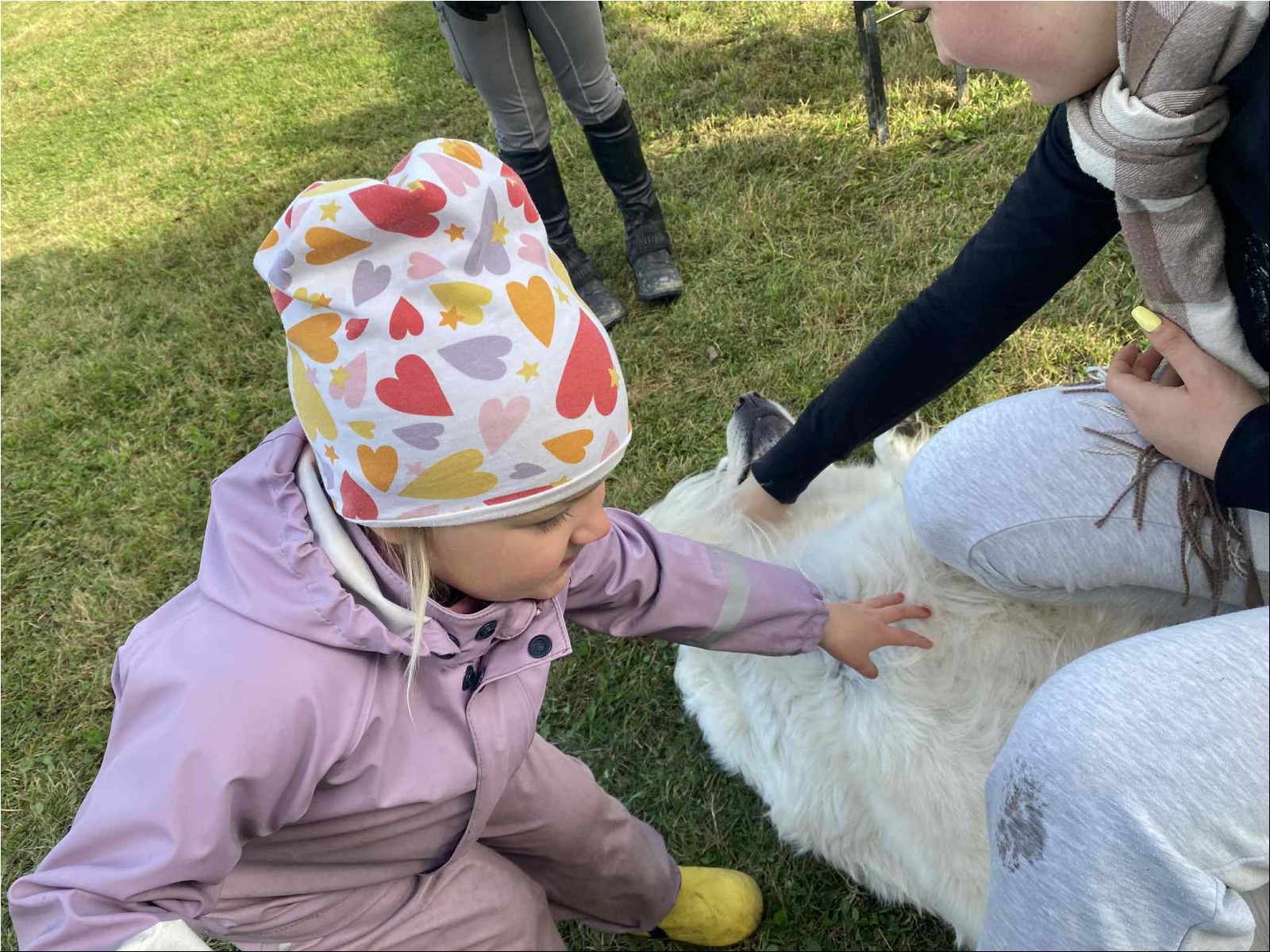 2025_10_perepaev (4).jpeg