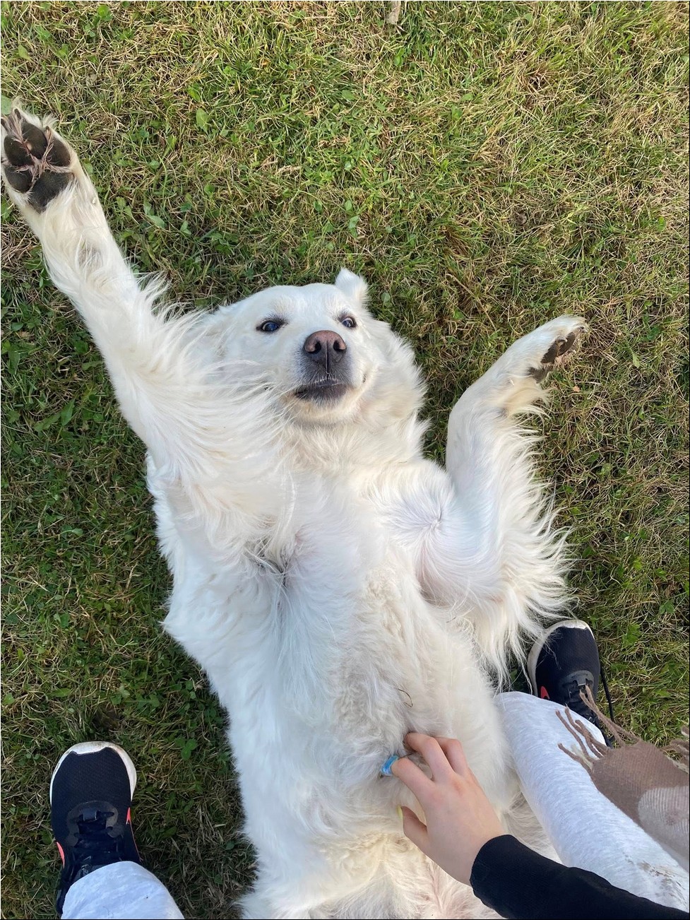 2025_10_perepaev (4).jpg