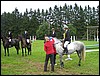 IMG_0441.jpg
