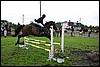 IMG_4461.JPG