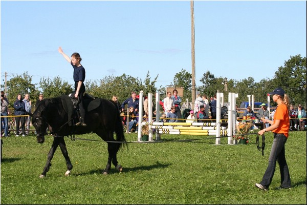 V_8575.JPG