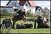 IMG_8678.JPG