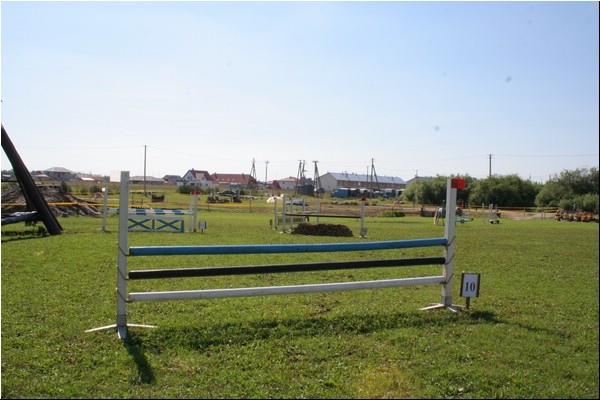 010.jpg