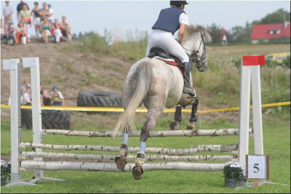 Lagedi Derby 2007 356.jpg