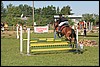 Lagedi Derby 2007 086.jpg