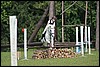 Lagedi Derby 2007 315.jpg