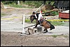 Lagedi Derby 2007 416.jpg