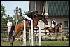 Lagedi Derby 2007 429.jpg