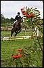 07_8539 (15).JPG