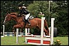 07_8539 (39).JPG