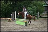 IMG_4353.JPG