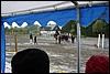 IMG_4406.JPG