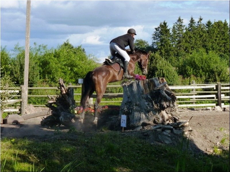 100_1_0984376491590c (4).jpg