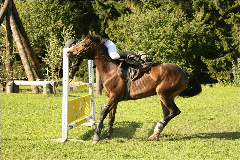 100_Lagedi Derby 568.JPG