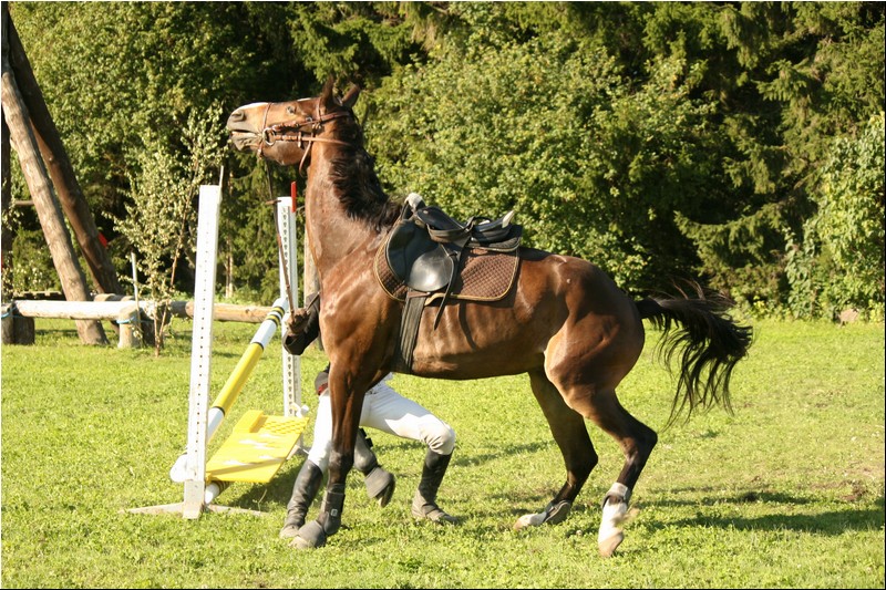 100_Lagedi Derby 569.JPG