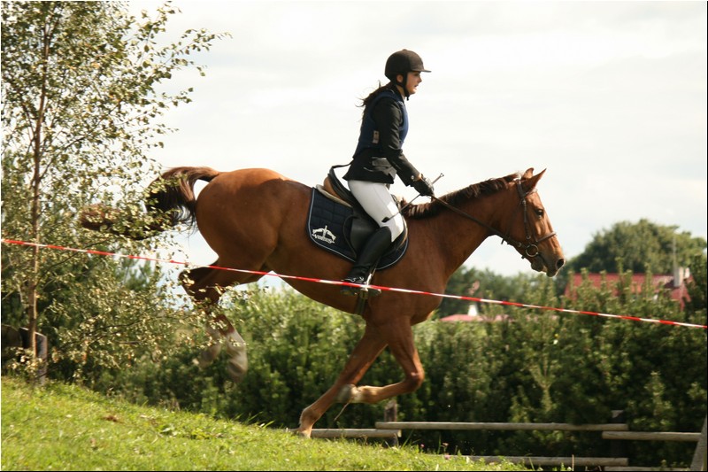 50_prix de rebala 668 (241).JPG