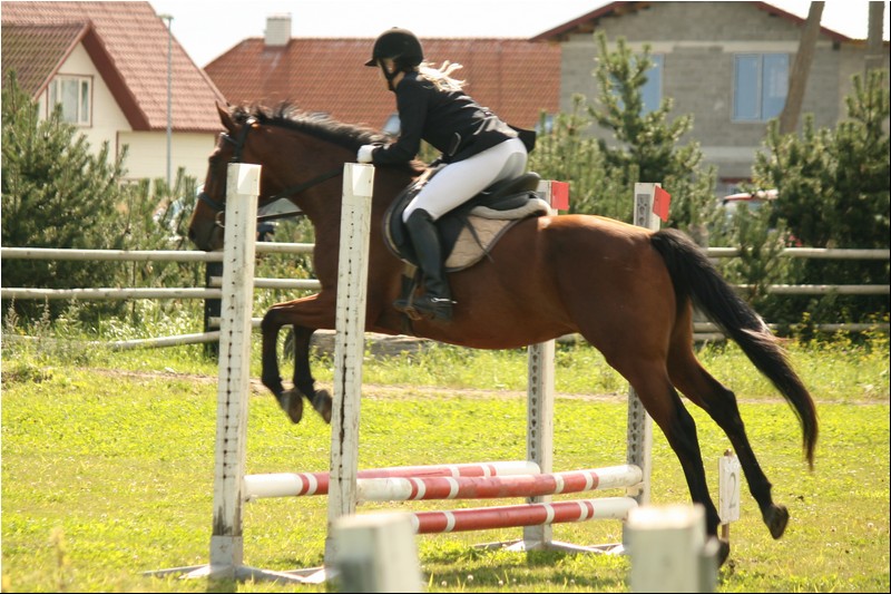 50_prix de rebala 668 (326).JPG