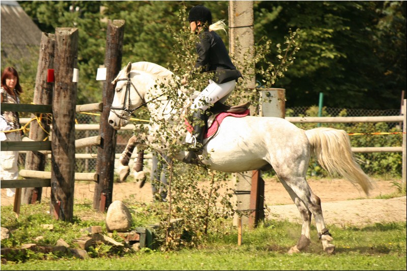 50_prix de rebala 668 (423).JPG
