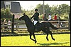 100_Lagedi Derby 609.JPG